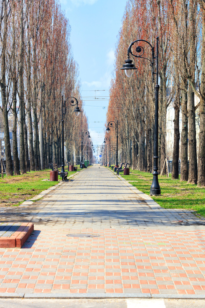 杨树云风景基辅的Shevchenko大道走向远处在春初高公花和长年老旧街灯木板凳的巷子中铺有的砖板垂直形象的Poplar巷子和路图片