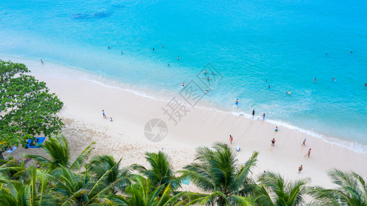 与期一会在泰国南部普吉的苏林海滩上素是普吉非常著名的旅游胜地Phuke美丽的海滩景色充满节假日与期棕榈树的热带海滩受欢迎的好沿海背景