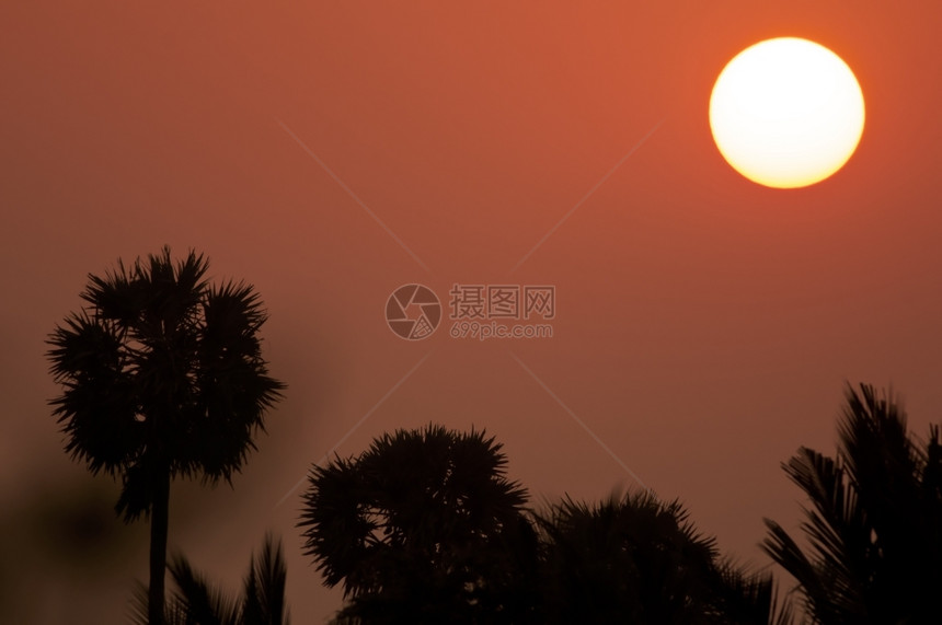 梦海景在一个热带棕榈树上升起的太阳摄影图片