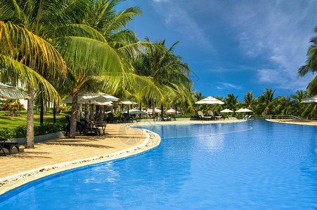 植物休息室在越南旅行目的地MuiNe的惊人热带奢华豪酒店游泳池景观图片