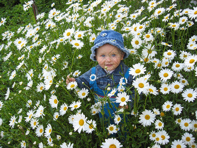 帽子叶在卡莫米尔斯花盆中美丽的小孩子模样晴天图片