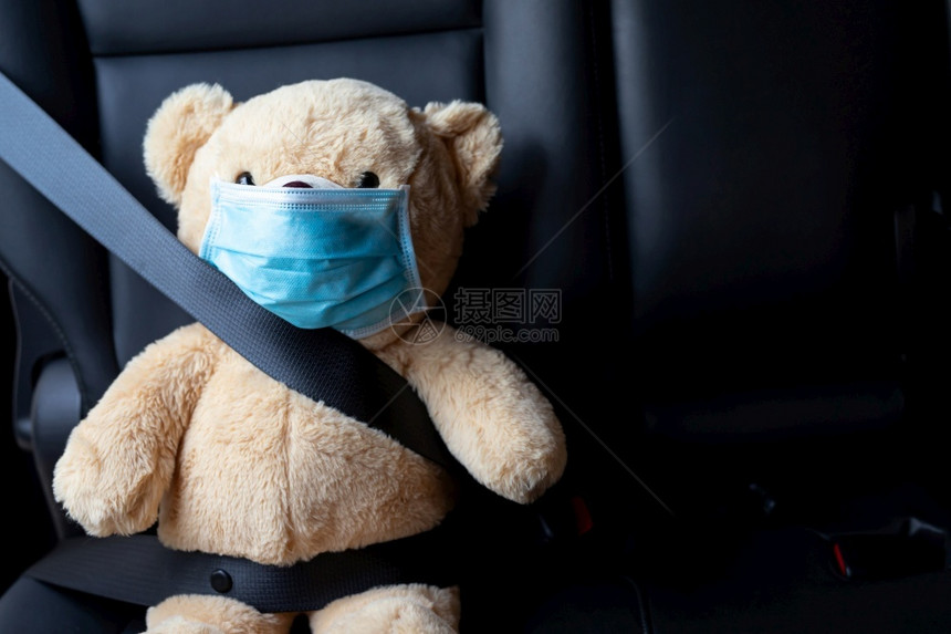泰迪熊在一辆汽车上系安全带健康腰带图片