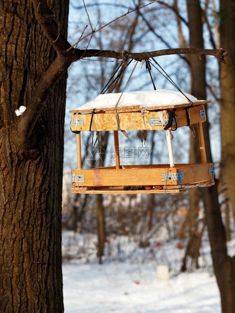 老的用剩余建筑材料制成的喂鸟器挂在冬季森林的树枝上背景模糊的灌木和阳光喂鸟器挂在冬季森林的树枝上以阳光为背景帮助乌克兰图片