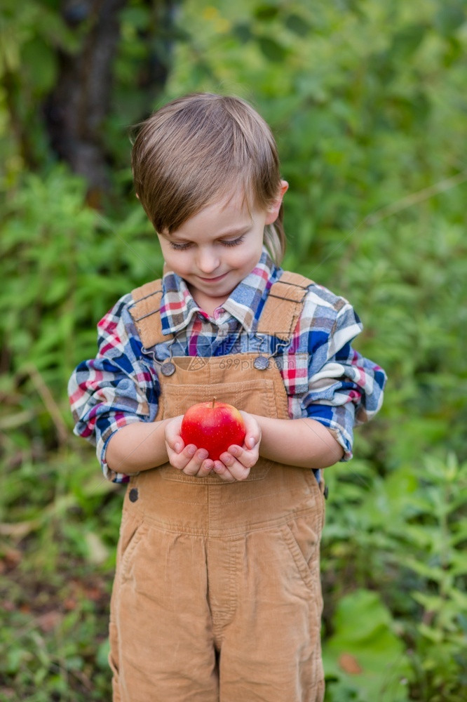 户外一顶帽子的个逗人喜爱男孩画象在花园里用一个红色苹果情绪幸福食物苹果秋天收获批准手势库存照片一个可爱男孩的帽子画象在花园里用一图片