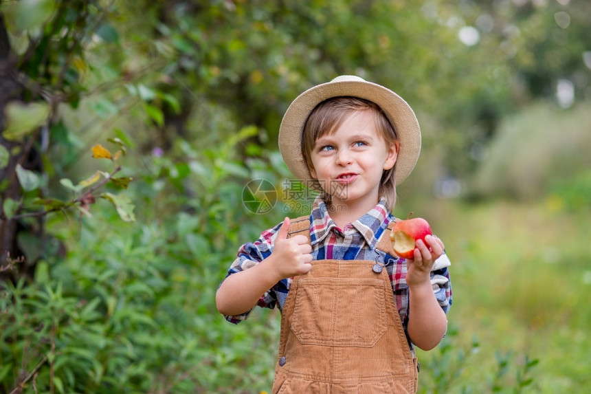 帮助孩子落下一顶帽的个逗人喜爱男孩画象在花园里用一个红色苹果情绪幸福食物苹果秋天收获批准手势库存照片一个可爱男孩的帽子画象在花园图片