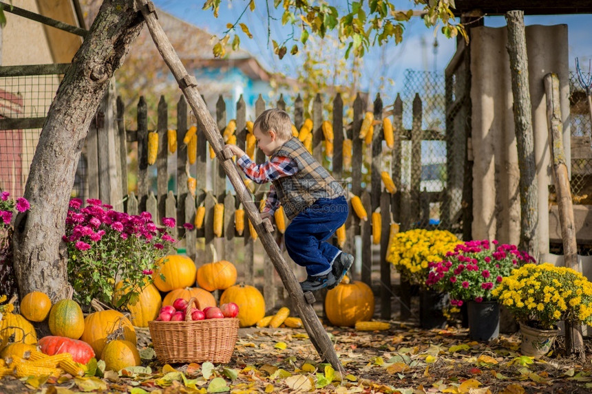 秋天在农场采摘蔬果的男孩图片
