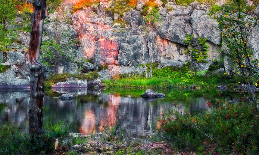 花朵2015年夏季日落时在Vottovaara山悬崖下的小美丽湖泊2015年夏天俄罗斯卡列丽亚有选择的软焦点湖在日落时裂下峡谷晚图片