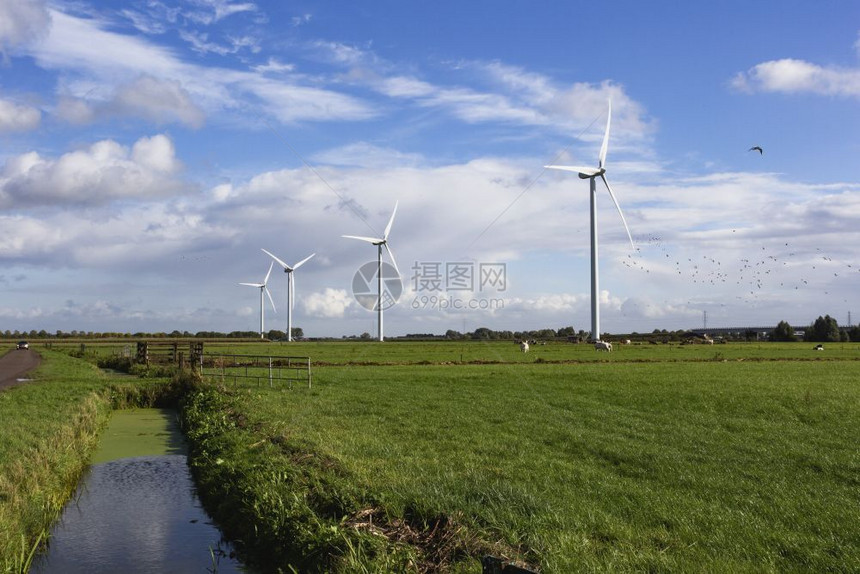 多云的电自然景观中生态动力荷兰风车和奶牛放牧草甸景观自然中的生态动力荷兰风车和奶牛放牧景观干净的图片