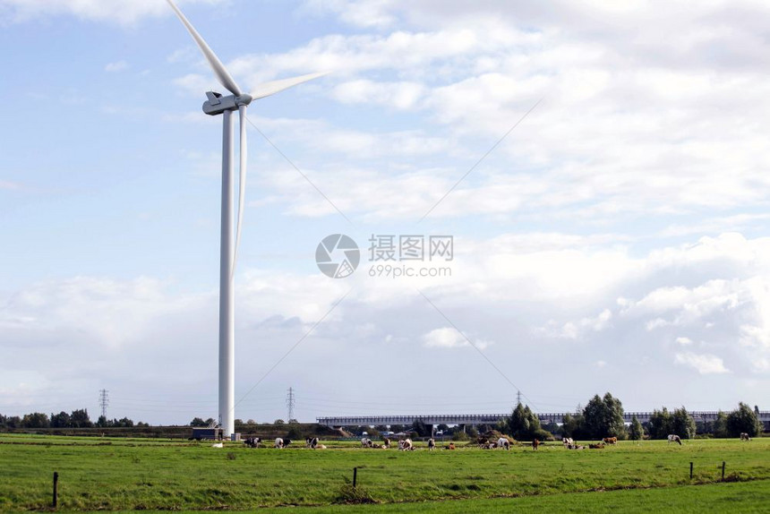产生自然景观中的态动力荷兰风车和奶牛放牧草甸景观自然中的生态动力荷兰风车和奶牛放牧景观云发电机图片
