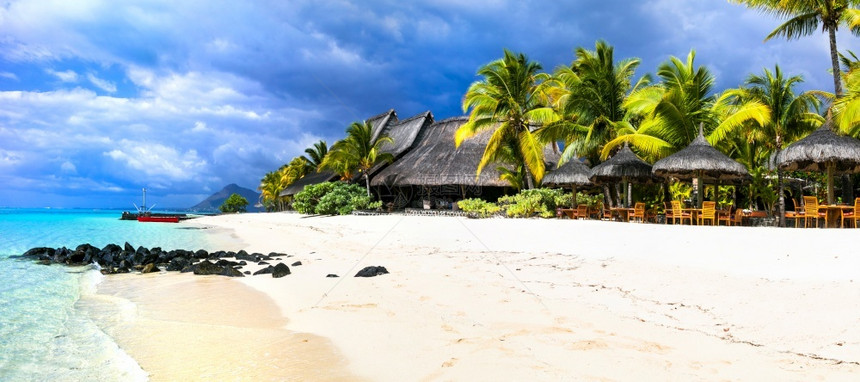 如画美丽的松弛毛里求斯岛海滩别墅棕榈树下的热带特节假日图片