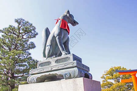 京都FushimiInari神庙入口处的狐头雕像崇拜神圣稻荷图片