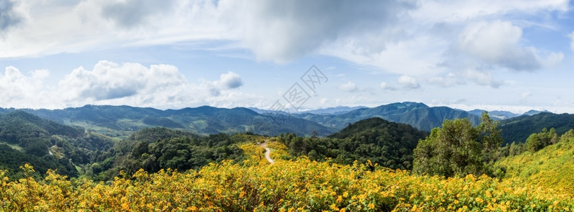 泰国的旅游景点天空环覆盖泰国的观光胜地在泰国的旅游景点晴天宁静风优美图片