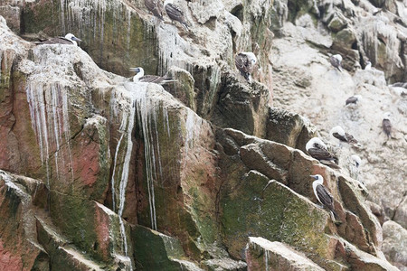诺帕拉塔景观鸟粪高清图片