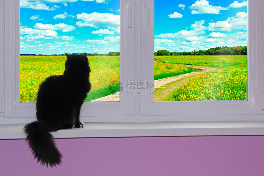 村庄家具黑猫看着窗外乡间小路农村夏日风景猫坐在窗台上看着夏天风景猫看着窗外炎热的夏天黑猫看着窗外乡间小路农村夏季风景图片