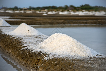 准备包装的新开采海水盐添加消化干燥图片