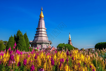 建筑学宗教的最佳泰国清迈DoiInthanon公园地标塔图片