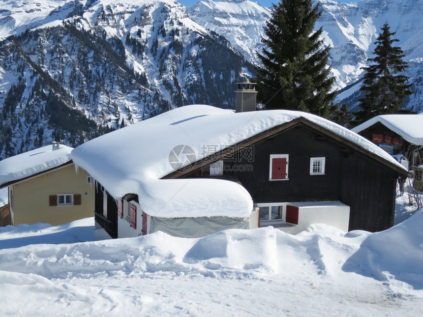 冬季雪景风光图片