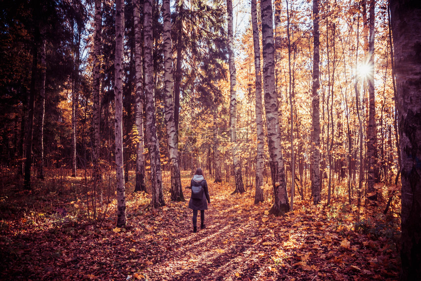 秋季森林里徒步的女性图片