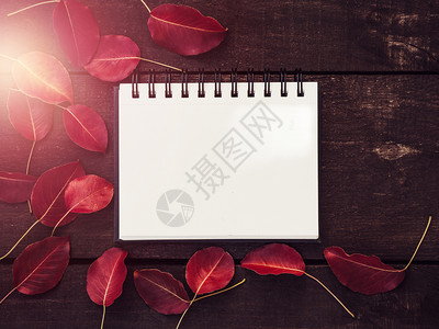 转眼秋天过为了纸美丽红叶笔记本棕色木板以及您写字的场所最美观向亲人家朋友及同事表示近距离祝贺漂亮笔记本和木板婚礼设计图片
