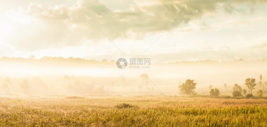 避难所茶点清晨雾中热带草原的全景观日光照耀着金色平原和山峰其背景是泰国普赫基欧野生动物保护区PhukhieoArfustuary图片