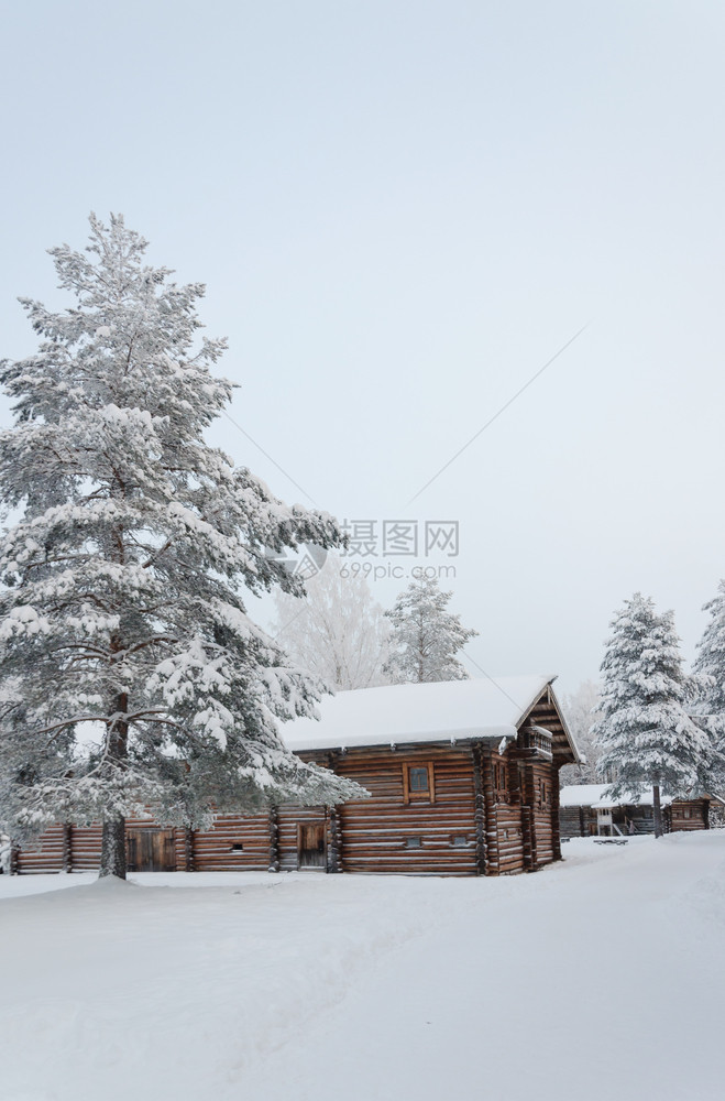 木制的俄罗斯北部冰雪松树之间的老木制农舍开放空军博物馆MalyeKorelyArkhangelsk地区俄罗斯寒冬日北方农村图片