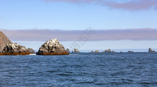 沿海太平洋景的岩石有选择聚焦点假期水图片