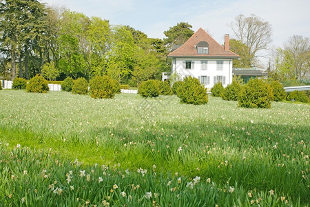 瑞士美丽的房子环绕着绿地村庄图片