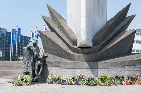 救星鹿特丹海滨纪念碑和世界大战的鲜花荷兰办事处城市景观血管路背景