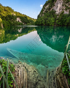 生态克罗地亚普利维茨湖公园的沉船木制头图片