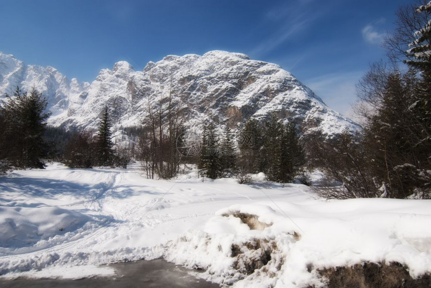 冬季雪景风光图片