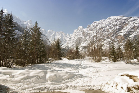 冬季雪景风光背景图片