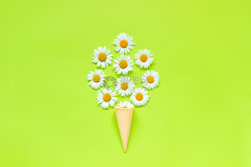 花朵卡片白色的束洋甘菊雏在淡绿色纸背景上的华夫饼冰淇淋蛋筒明信片或您的设计模板平躺顶视图概念你好夏天自上而下的组合花束洋甘菊雏在图片