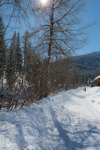 冬季雪景风光图片