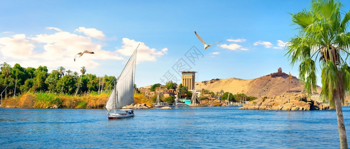 日落东Aswan尼罗河一景城市大象阿斯旺Aswan雄伟图片
