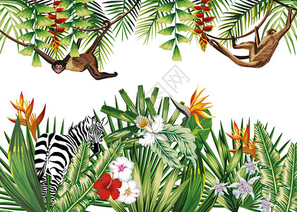 矢量可爱小斑马可爱的自然热带插图用鲜花丛林植物说明动猴子和斑马矢量成分野生动物背景