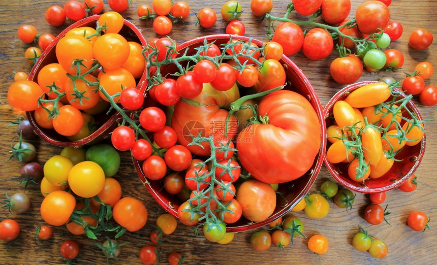 有色木板上的新鲜五颜六色成熟西红柿五颜六色的番茄红黄橙Harvest蔬菜烹饪概念顶视图木板上的新鲜五颜六色成熟西红柿五颜六色的番图片