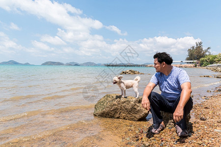 男人和狗在海边玩耍图片