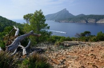 老的西班牙MajorcaSantElm附近的旧树干船和龙纳拉岛的景观风平静安图片