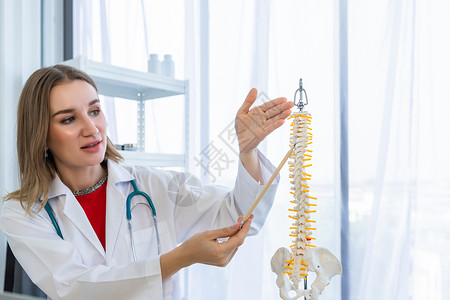 女医生使用脊椎模型讲解健康知识图片