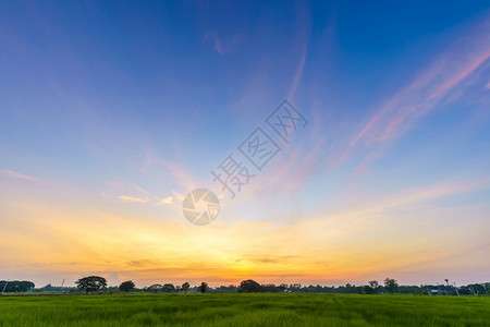 晚上臭氧场景农村或海滩多彩的云纹理白空气背景的黄色紫亮日落天空或者在海滩上飘忽不定的云彩纹理背景图片