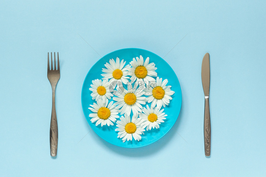 为了桌子蓝盘上的洋甘菊雏和蓝纸背景上的餐具叉刀概念素食主义健康饮或创意顶视图复制用于刻字文本或设计的空间模板蓝盘上的洋甘菊雏和蓝图片