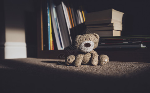 室内书房地上的公仔熊图片