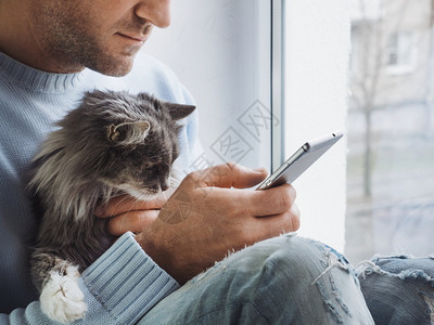 哇他圈房间年轻人坐在窗台上大腿抱着一只美丽而毛绒的小猫在他手机上看新闻年轻人坐在窗台上把小猫放在大腿上看新闻蓬松的坐着背景
