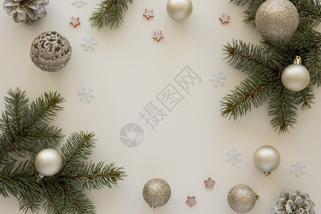 尼图素材松树衬套平坦的问候自然松针和圣诞地球分辨率和高品质的美丽照片顶端视图天然松针和圣诞节地球高质量和清晰的美景概念丽的照片优雅图最高观背景