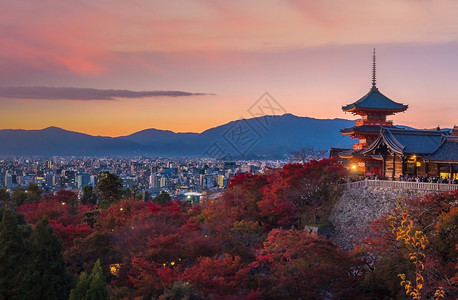 日本京都天际和清宗津寺庙秋色图片
