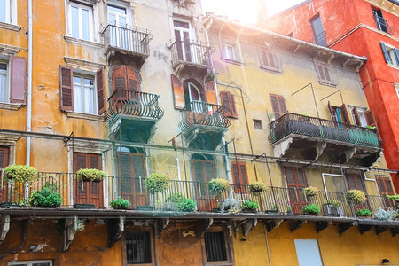 墙意大利维罗纳Verona阳光明媚的一天大厦风景优美图片