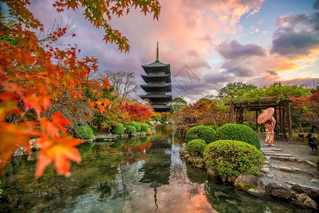 旅行景观秋天日本落京都的Toji寺庙和木塔著名的图片