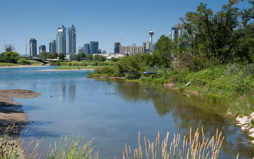外部的城市景观加拿大艾伯塔省Calgary天线与Bow河前景的全图像加拿大艾伯塔天气图片