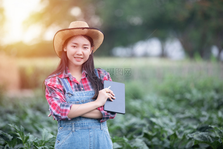 环境农学家庄稼亚洲妇女农业学家和民利用技术对业和有机植物田进行检查农艺师和民使用技术对业和有机植物田进行检查图片