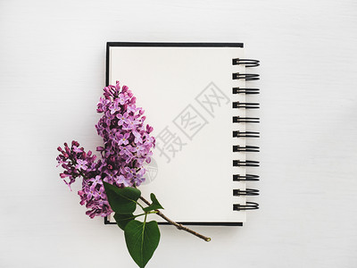 空白笔记本和紫丁香图片